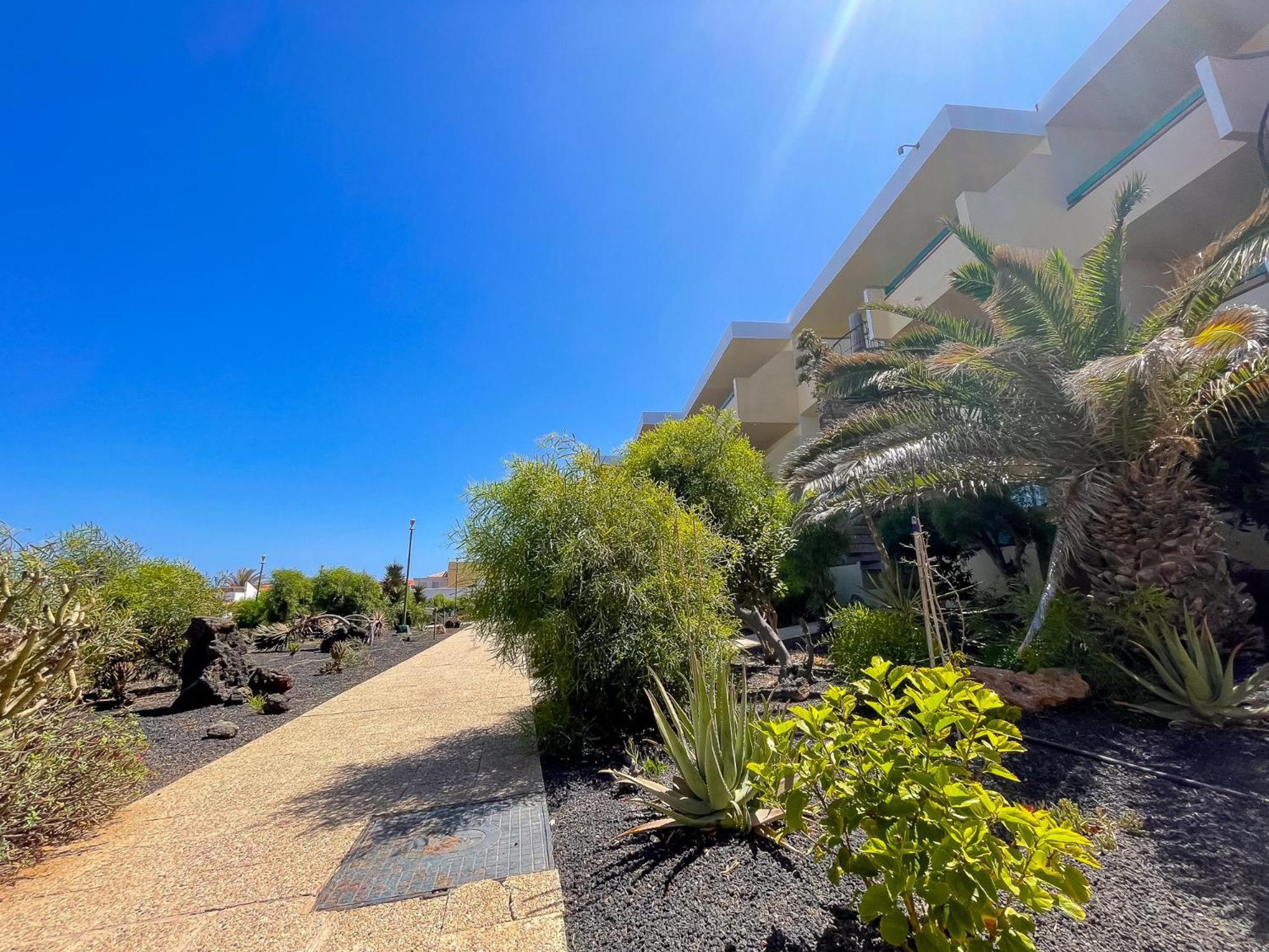 Casita Naranja - Bouganville Costa De Antigua Eksteriør bilde